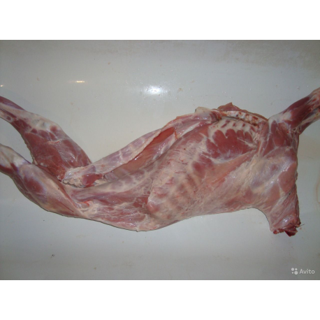 Козлик стерилизованный 7-9 месяцев 16 кг.